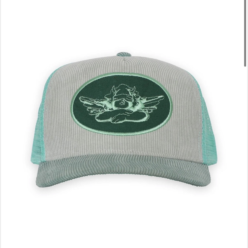 Boys lie trucker hat